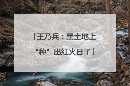 王乃兵：黑土地上“种”出红火日子