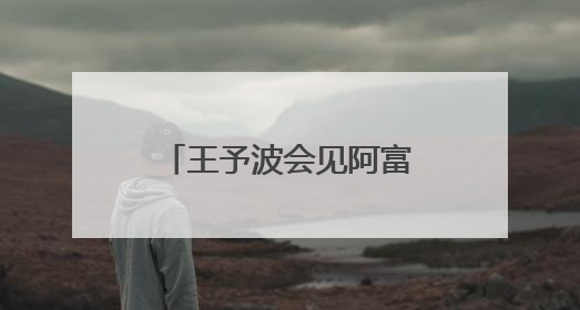 王予波会见阿富汗临时政府代理副总理阿卜杜·萨拉姆·哈纳菲