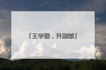王学勤，升副部