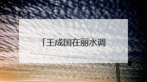 王成国在丽水调研时强调：以更高水平安全和法治环境服务保障山区海岛县高质量发展