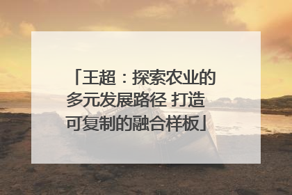 王超：探索农业的多元发展路径 打造可复制的融合样板