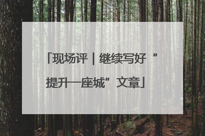现场评｜继续写好“提升一座城”文章
