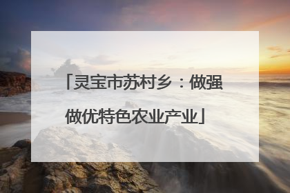 灵宝市苏村乡：做强做优特色农业产业