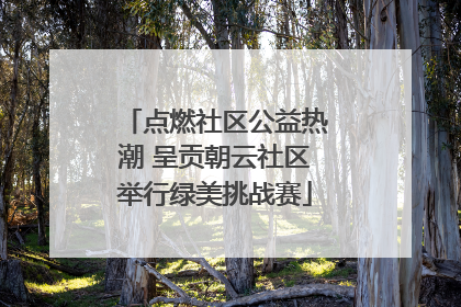 点燃社区公益热潮 呈贡朝云社区举行绿美挑战赛