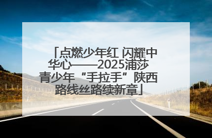 点燃少年红 闪耀中华心——2025浦莎青少年“手拉手”陕西路线丝路续新章