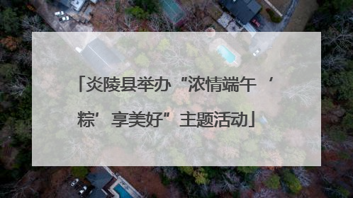 炎陵县举办“浓情端午‘粽’享美好”主题活动
