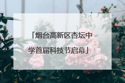 烟台高新区杏坛中学首届科技节启幕