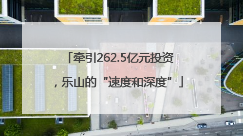 牵引262.5亿元投资，乐山的“速度和深度”
