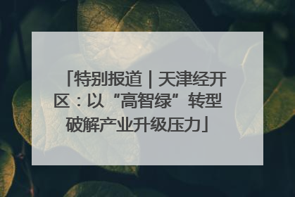 特别报道｜天津经开区：以“高智绿”转型破解产业升级压力