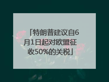 特朗普建议自6月1日起对欧盟征收50%的关税