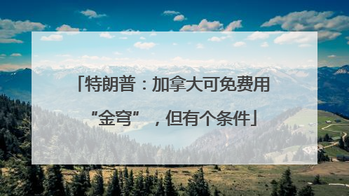 特朗普：加拿大可免费用“金穹”，但有个条件