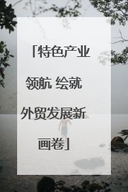 特色产业领航 绘就外贸发展新画卷