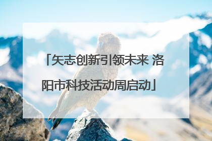 矢志创新引领未来 洛阳市科技活动周启动