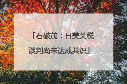 石破茂：日美关税谈判尚未达成共识
