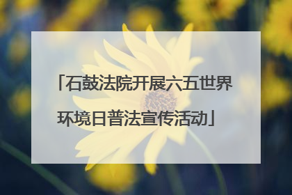 石鼓法院开展六五世界环境日普法宣传活动