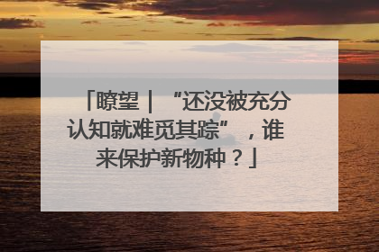 瞭望｜“还没被充分认知就难觅其踪”，谁来保护新物种？