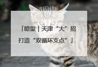 瞭望｜天津“大”招打造“双循环支点”