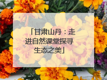 甘肃山丹：走进自然课堂探寻生态之美