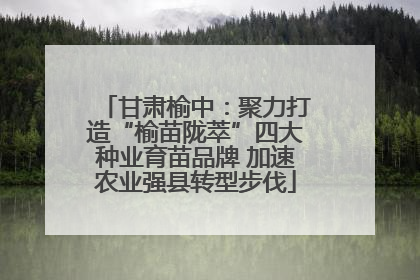 甘肃榆中：聚力打造“榆苗陇萃”四大种业育苗品牌 加速农业强县转型步伐