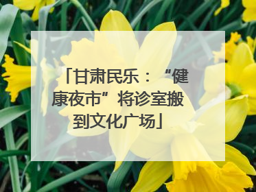 甘肃民乐：“健康夜市”将诊室搬到文化广场