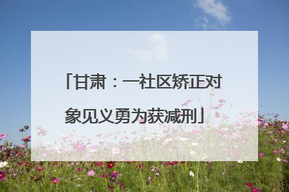 甘肃：一社区矫正对象见义勇为获减刑
