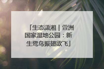 生态潇湘｜萱洲国家湿地公园：新生鹭鸟振翅欲飞