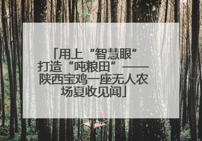 用上“智慧眼” 打造“吨粮田”——陕西宝鸡一座无人农场夏收见闻
