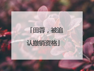 田蓉，被追认撤销资格