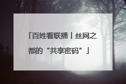 百姓看联播丨丝网之都的“共享密码”