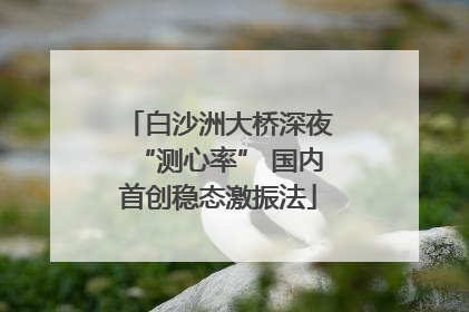 白沙洲大桥深夜“测心率” 国内首创稳态激振法