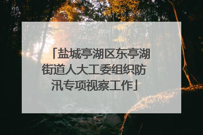 盐城亭湖区东亭湖街道人大工委组织防汛专项视察工作