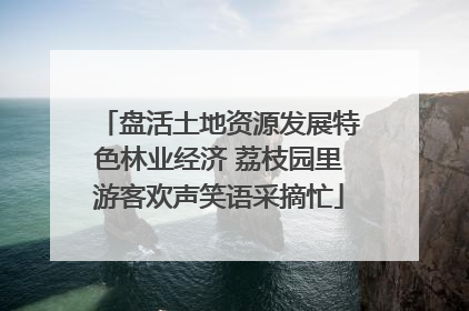 盘活土地资源发展特色林业经济 荔枝园里游客欢声笑语采摘忙