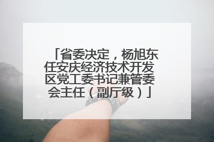 省委决定，杨旭东任安庆经济技术开发区党工委书记兼管委会主任（副厅级）