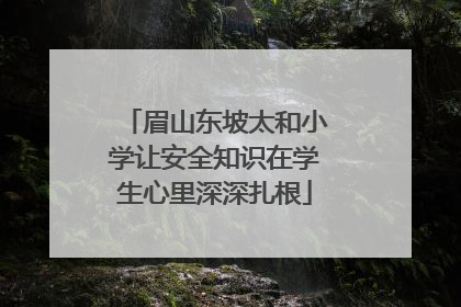 眉山东坡太和小学让安全知识在学生心里深深扎根