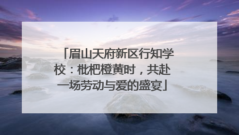 眉山天府新区行知学校：枇杷橙黄时，共赴一场劳动与爱的盛宴