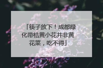 筷子放下！成都绿化带桔黄小花并非黄花菜，吃不得