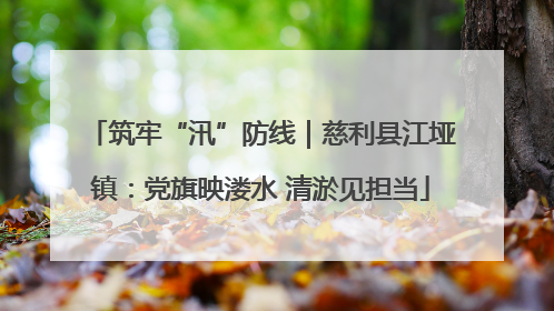 筑牢“汛”防线｜慈利县江垭镇：党旗映溇水 清淤见担当