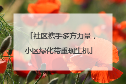 社区携手多方力量，小区绿化带重现生机