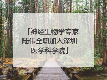 神经生物学专家陆伟全职加入深圳医学科学院