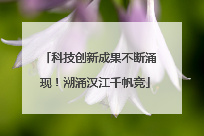 科技创新成果不断涌现！潮涌汉江千帆竞