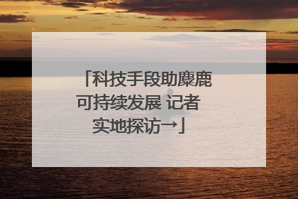 科技手段助麋鹿可持续发展 记者实地探访→