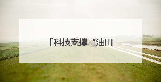 科技支撑“油田”蜕变，东营盐碱地油菜丰收忙