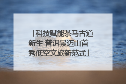 科技赋能茶马古道新生 普洱景迈山首秀低空文旅新范式