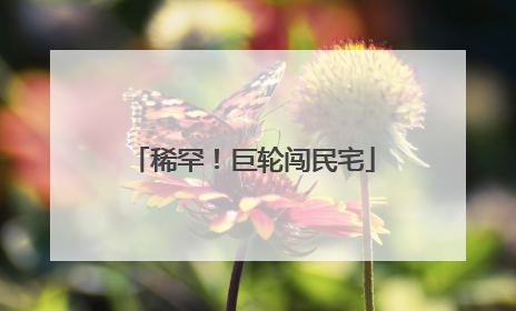 稀罕！巨轮闯民宅