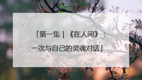 第一集｜《在人间》：一次与自己的灵魂对话