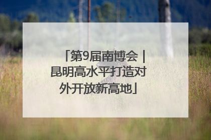 第9届南博会｜昆明高水平打造对外开放新高地