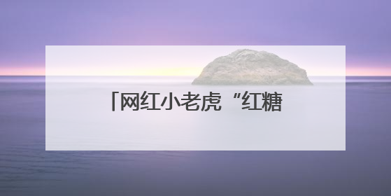 网红小老虎“红糖”将暂停展出？上海动物园：展区改建，会安排展出计划
