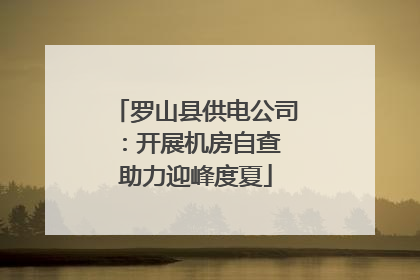 罗山县供电公司：开展机房自查 助力迎峰度夏