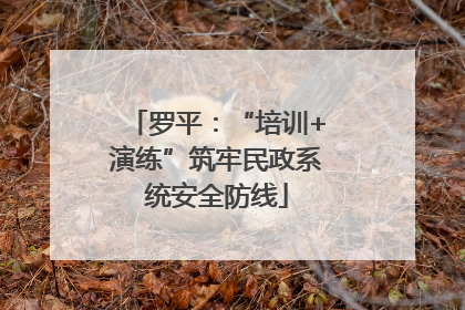 罗平：“培训+演练”筑牢民政系统安全防线