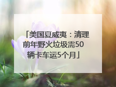 美国夏威夷：清理前年野火垃圾需50辆卡车运5个月